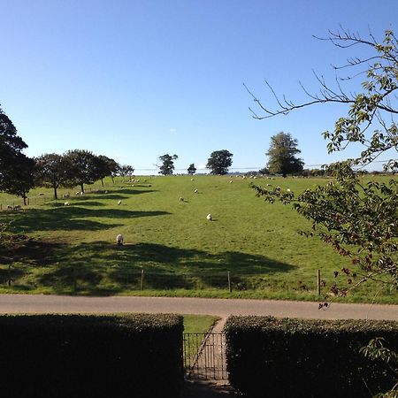 Whitchurch Farm Guesthouse 앨더민스터 외부 사진