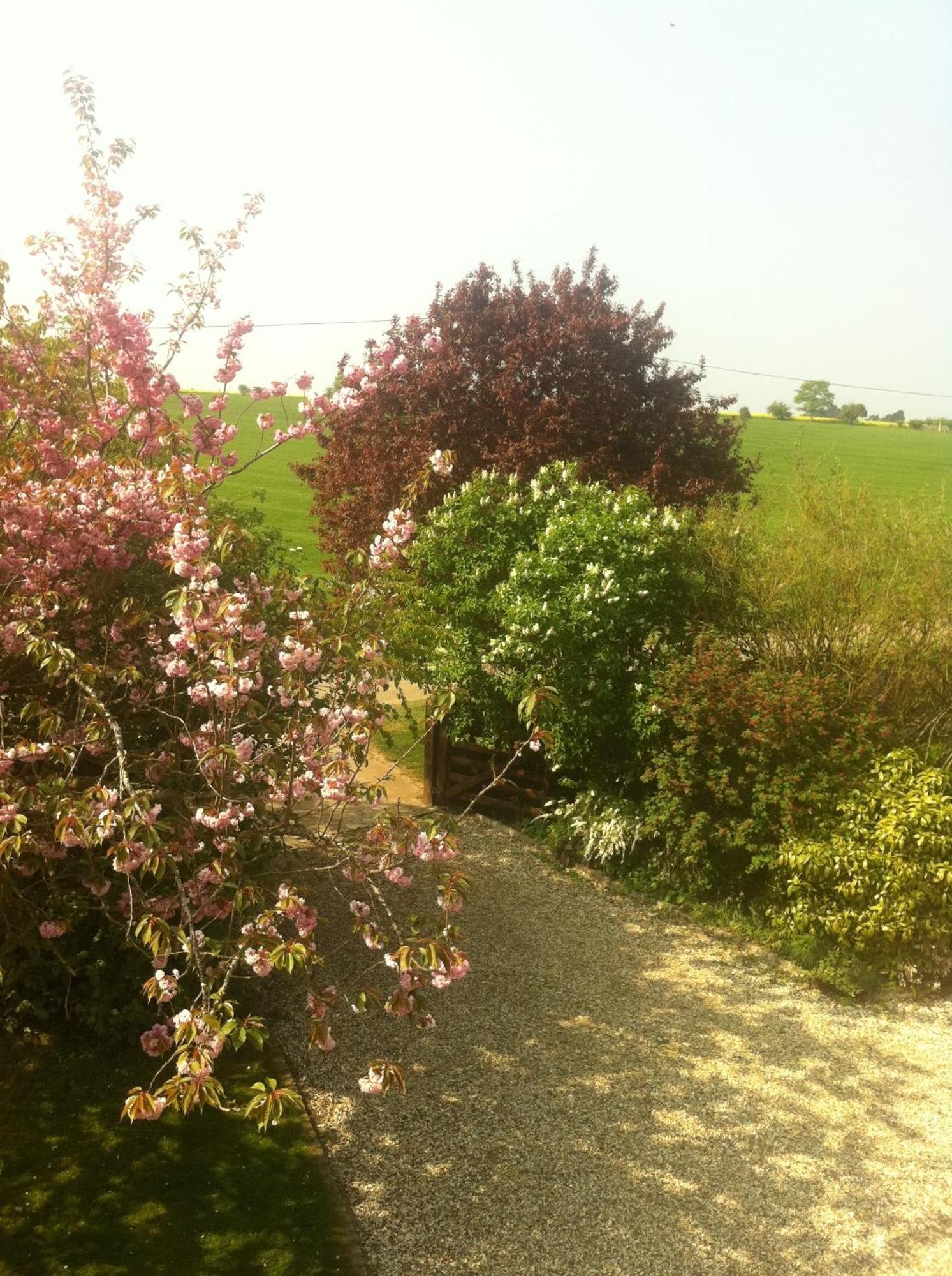 Whitchurch Farm Guesthouse 앨더민스터 외부 사진